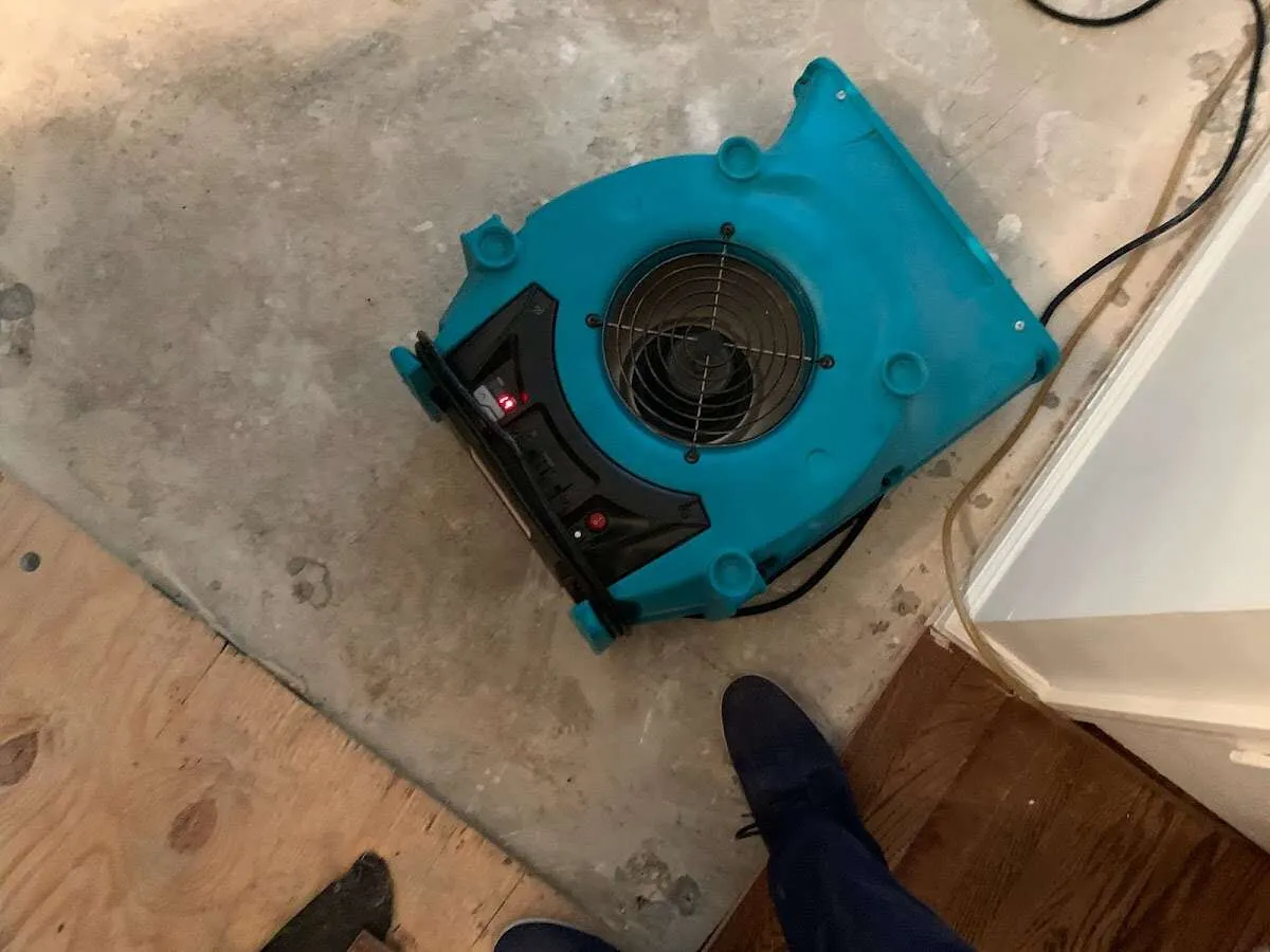 Air mover drying subfloor during Leak Detection & Repair in Whitney