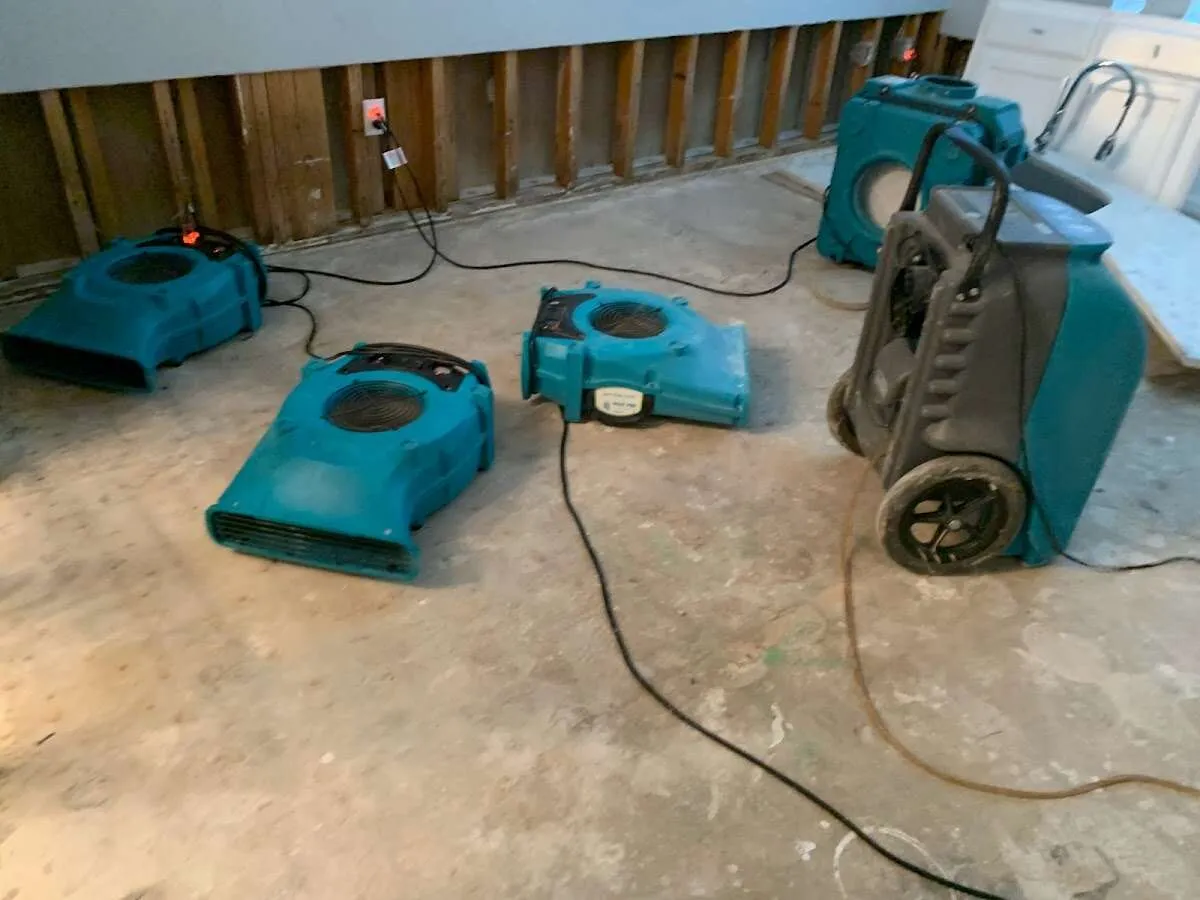 Water Damage Restoration services in Whitney, NV